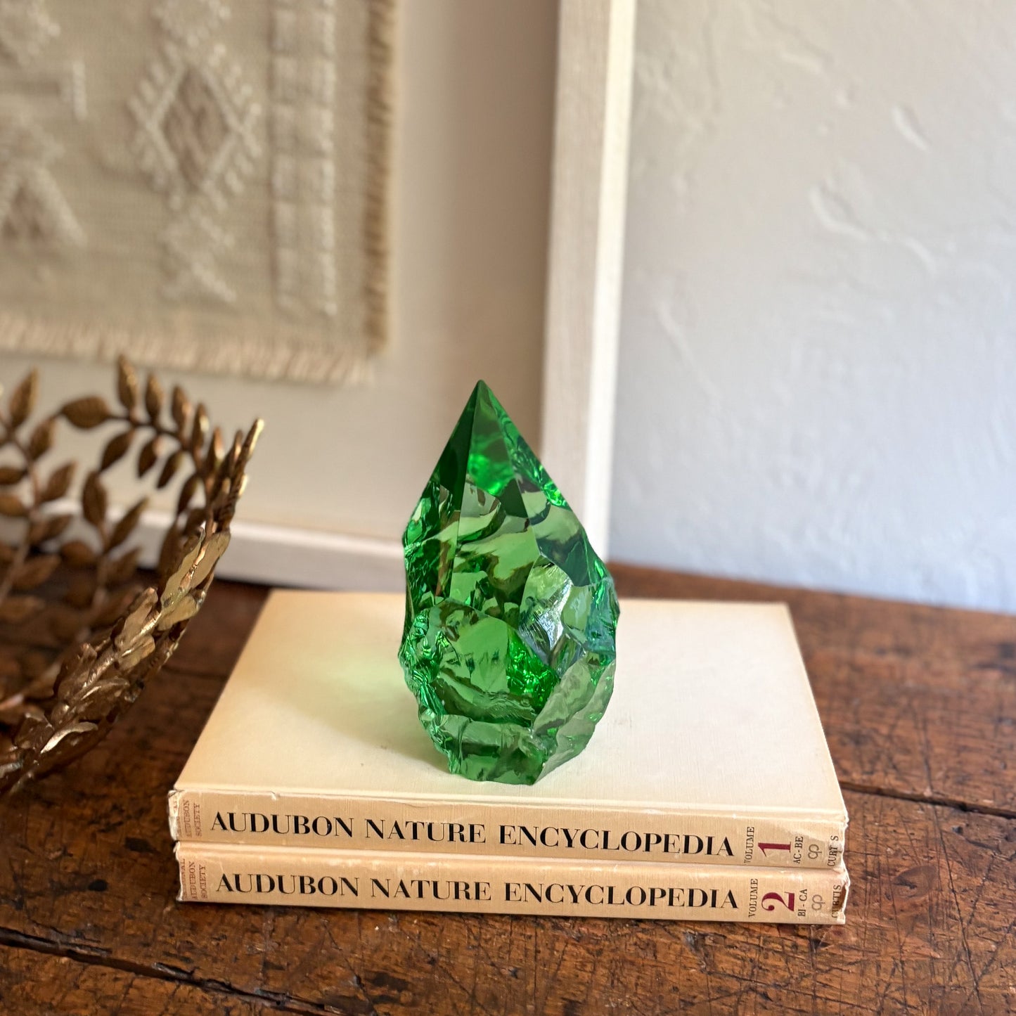 Green glass point on top of two 'Audubon Nature Encyclopedia' books on a wooden surface.