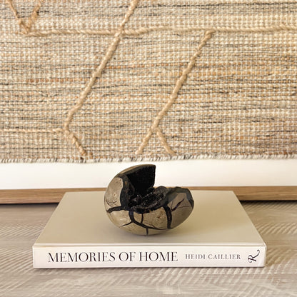 septarian dragon egg