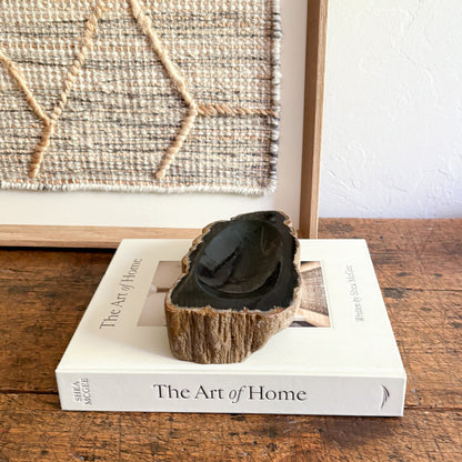 petrified wood home accents