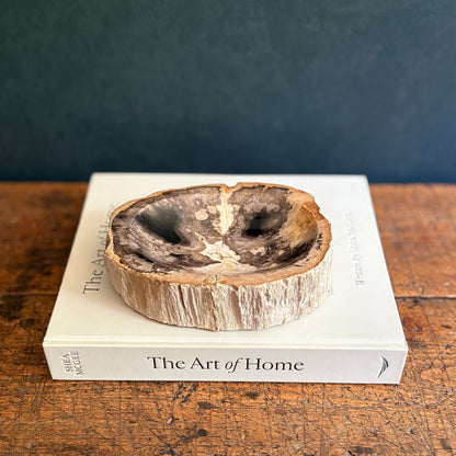 Small Indonesian Petrified Wood Bowl