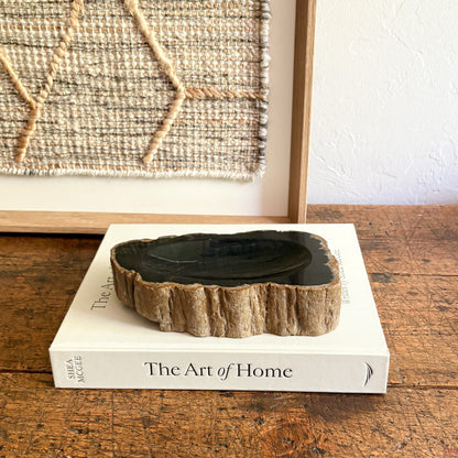 petrified wood home decor