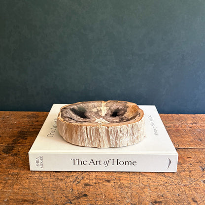 Small Indonesian Petrified Wood Bowl