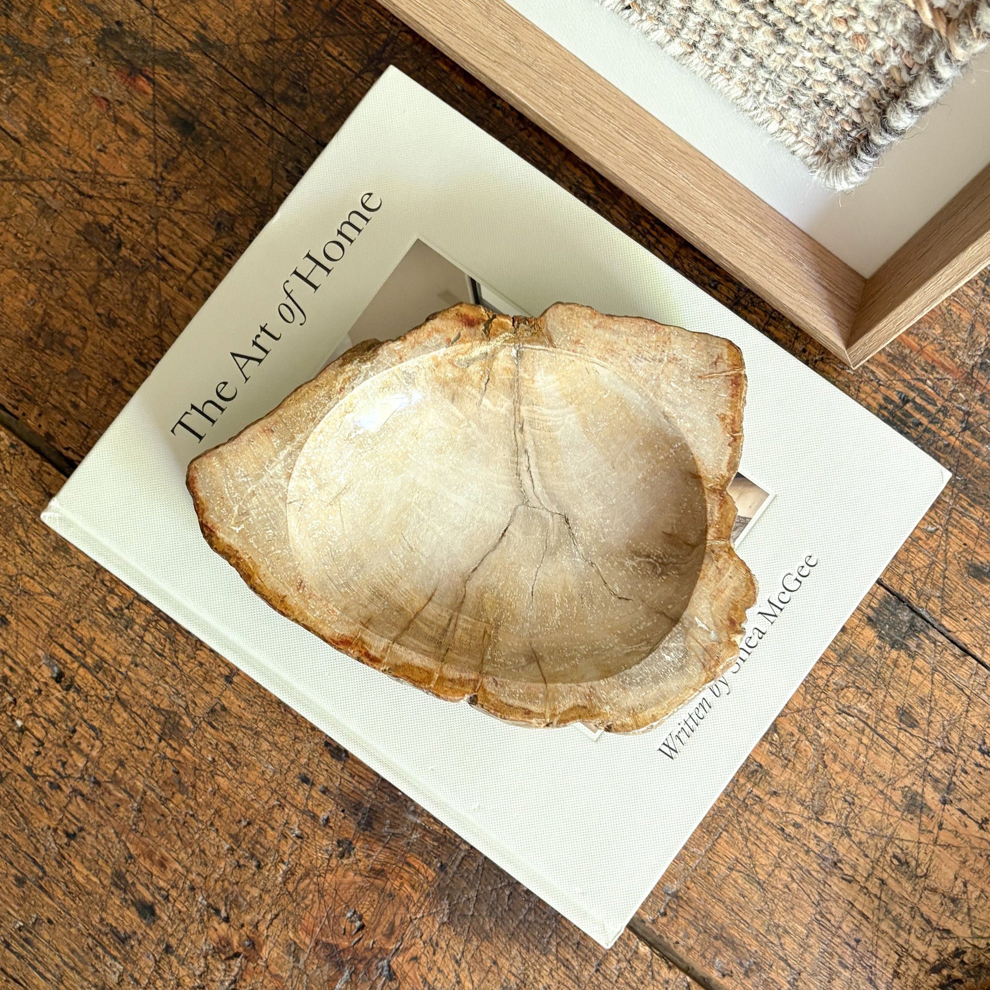petrified wood decorative dish