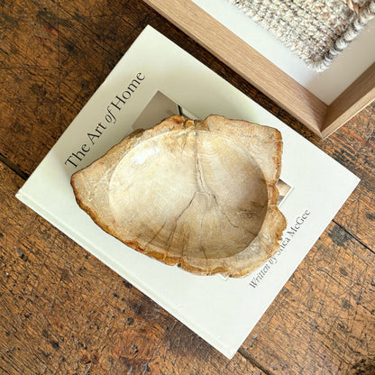 petrified wood decorative dish