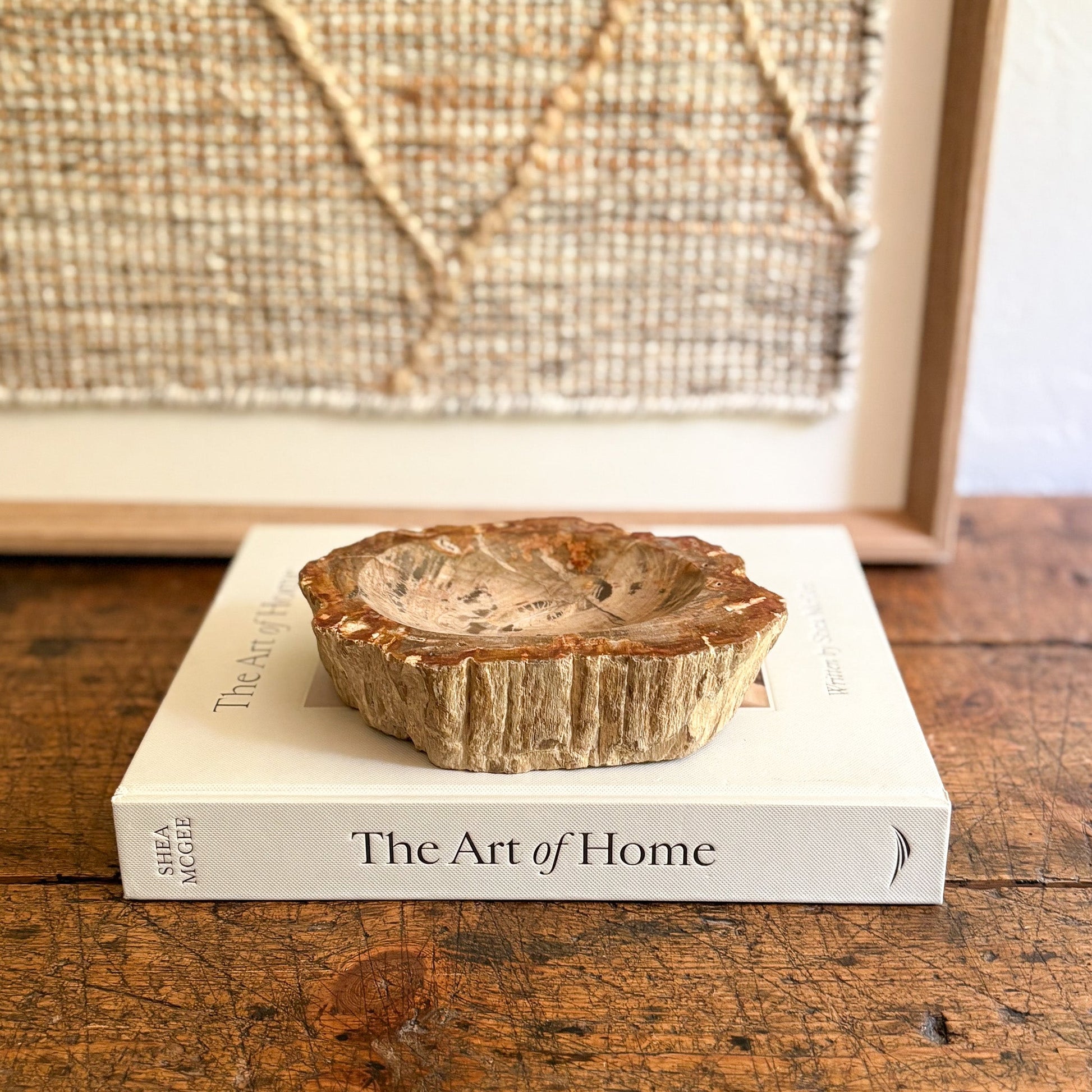 petrified wood home accents
