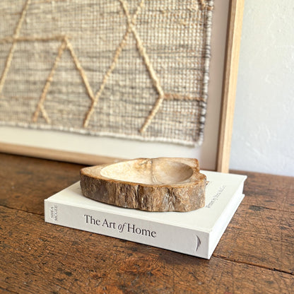 petrified wood home accents
