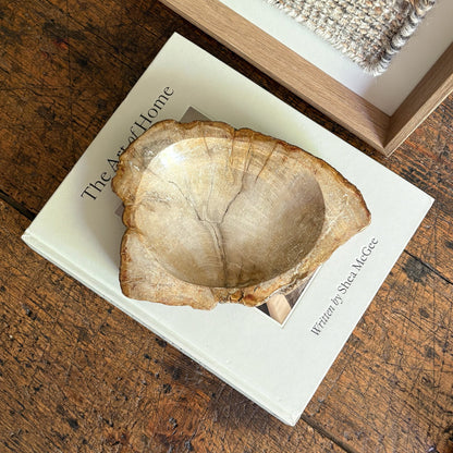 petrified wood coffee table bowl