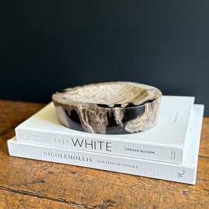 petrified wood accent bowl