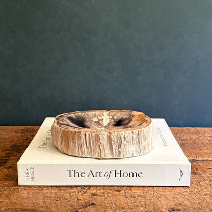 Small Indonesian Petrified Wood Bowl