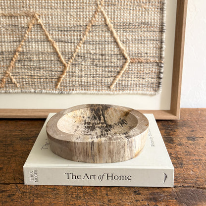 natural petrified wood catchall