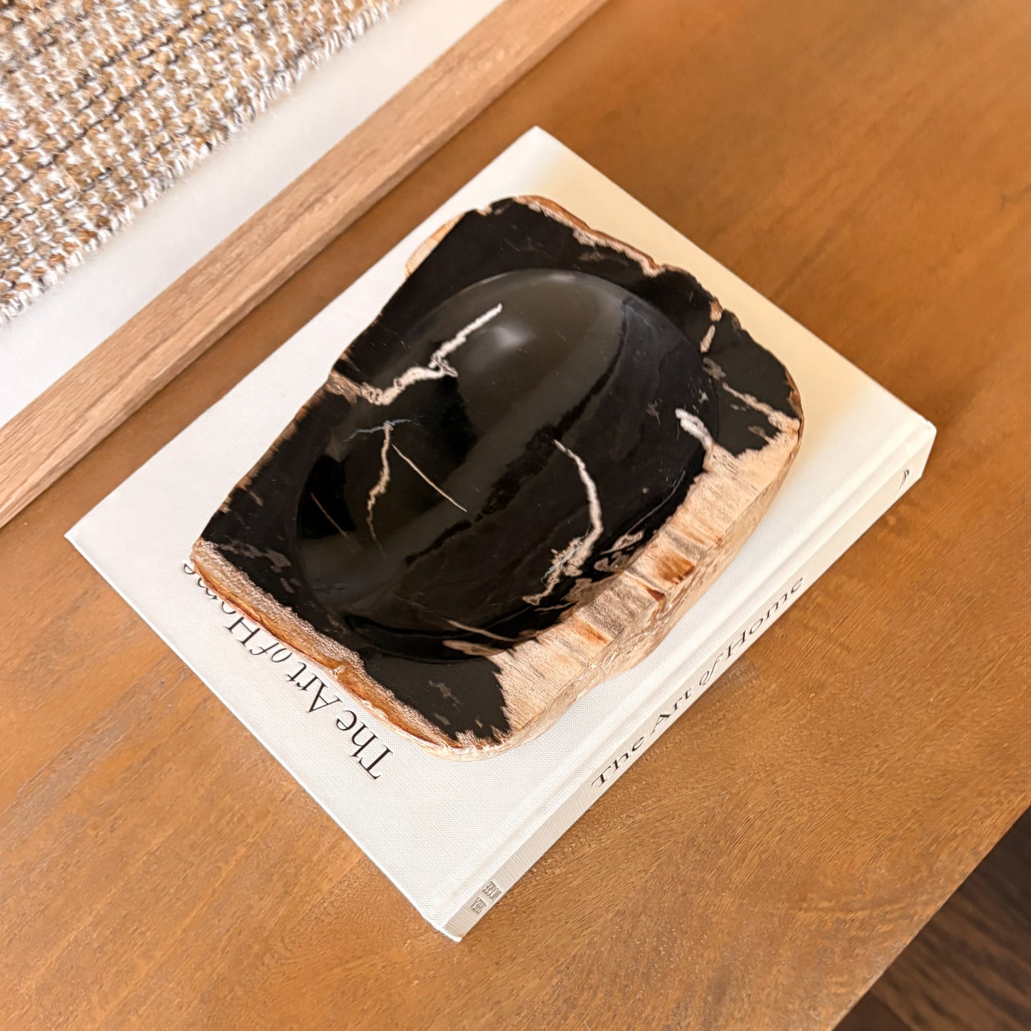 Top view of small petrified wood bowl with fossil wood interior