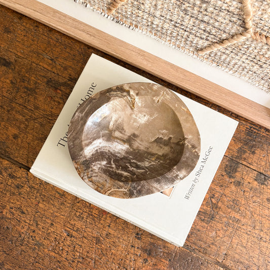 petrified wood dish