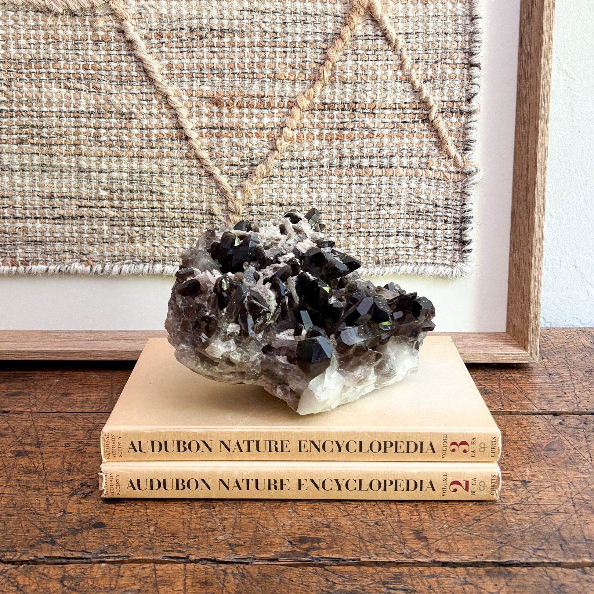 modern organic home decor