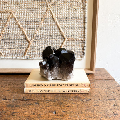 modern organic home decor