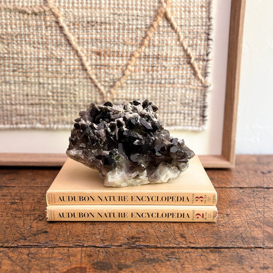 modern organic home accents