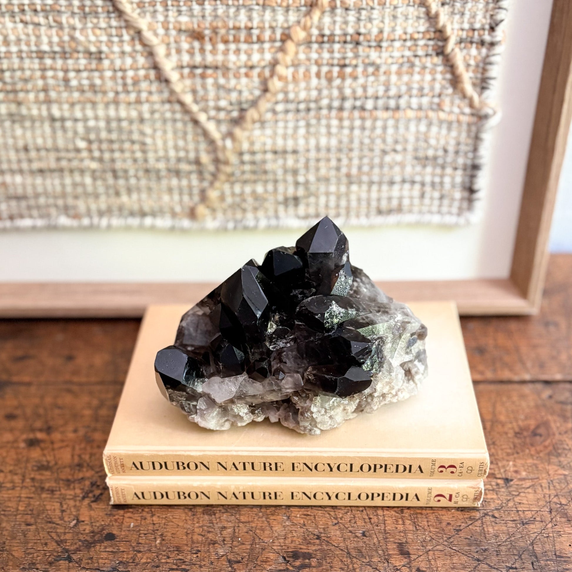 Decorative crystal on top of two 'Audubon Nature Encyclopedia' books with a textured wall in the background.
