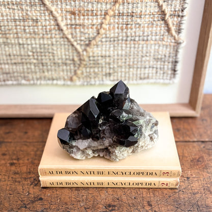 Decorative crystal on top of two 'Audubon Nature Encyclopedia' books with a textured wall in the background.
