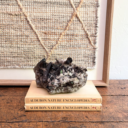 modern organic home accents