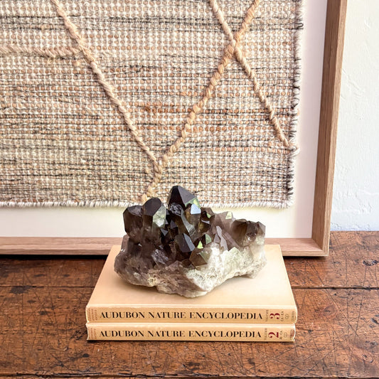 Crystal on top of two 'Audubon Nature Encyclopedia' books with a woven wall hanging in the background.