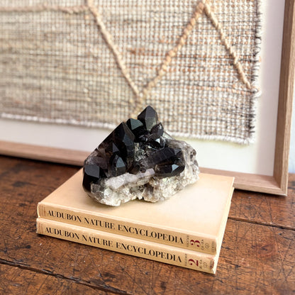 Crystal cluster on top of two Audubon Nature Encyclopedia books with a framed picture in the background.
