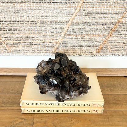 Natural smoky quartz crystal cluster used as elegant neutral home decor