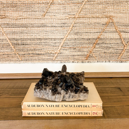 Natural smoky quartz crystal cluster on vintage encyclopedia books used as elegant home decor.