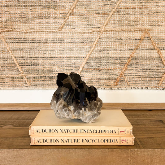 Natural smoky quartz crystal cluster used as elegant neutral home deco