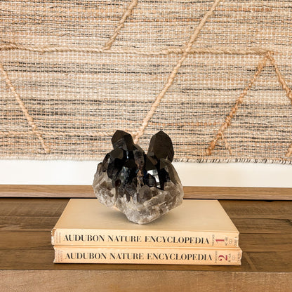 Raw smoky quartz crystal cluster with deep brown crystals styled on books