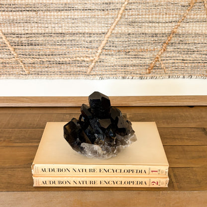 Natural smoky quartz crystal cluster displayed as elegant home decor on a shelf.
