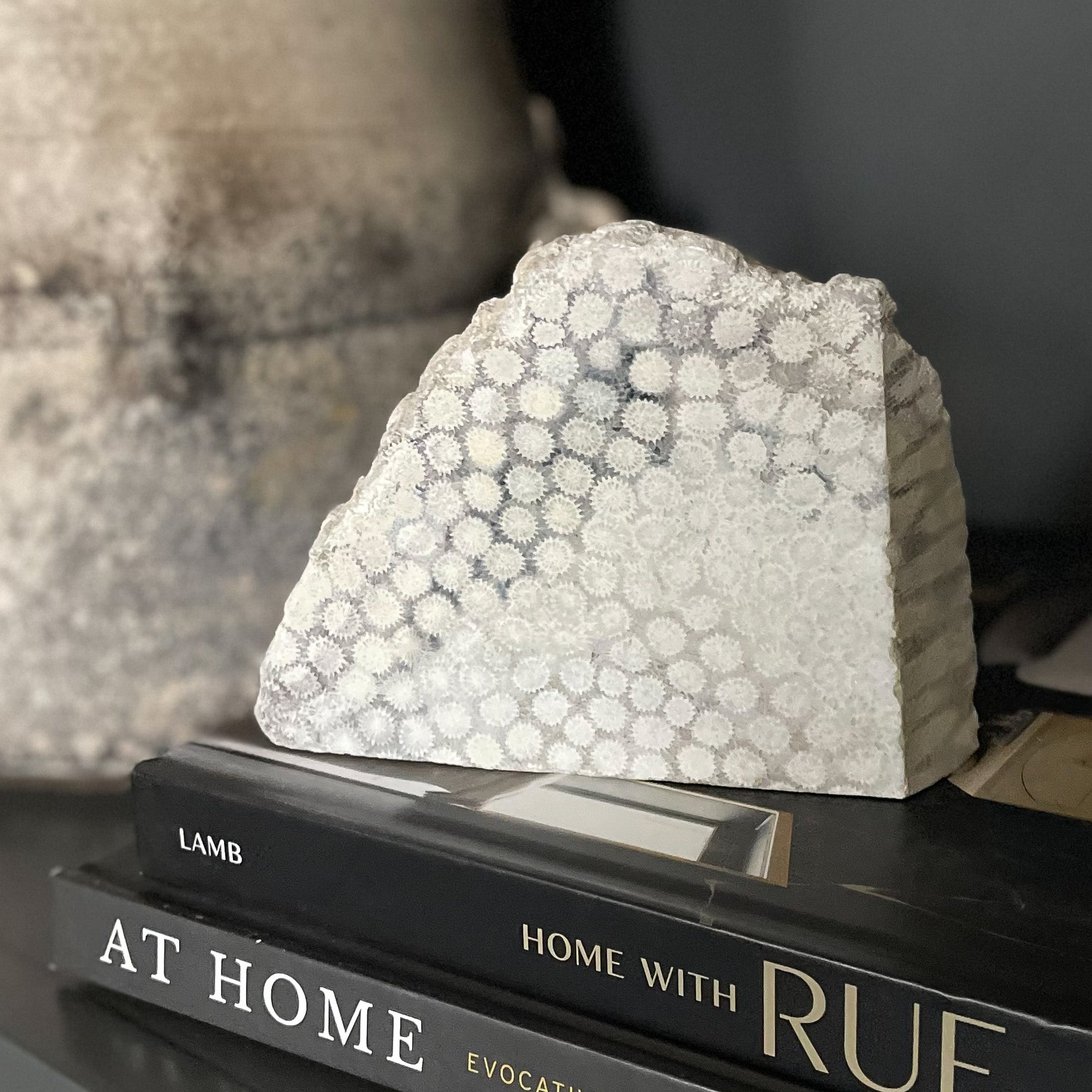 white fossil coral, natural home accents
