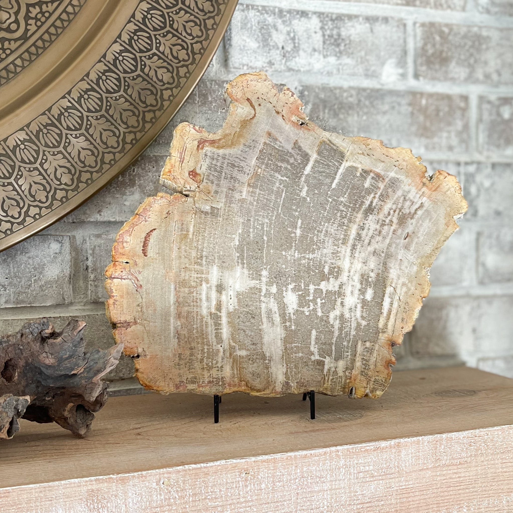 petrified wood home decor, natural home accents