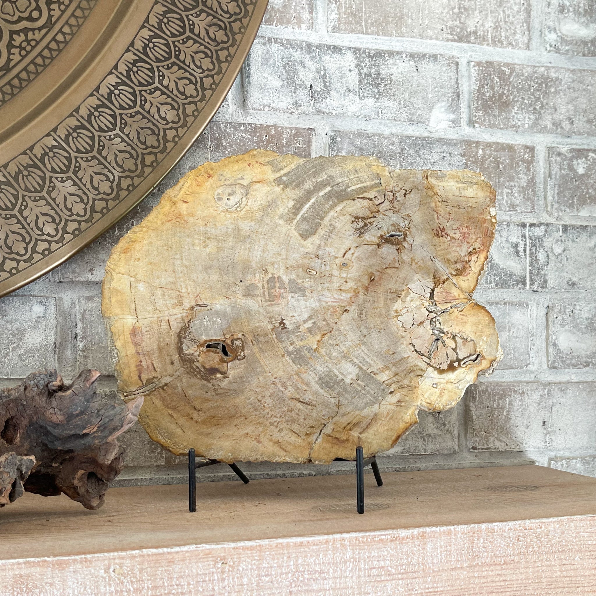 indonesia fossilized wood decor, natural home accents