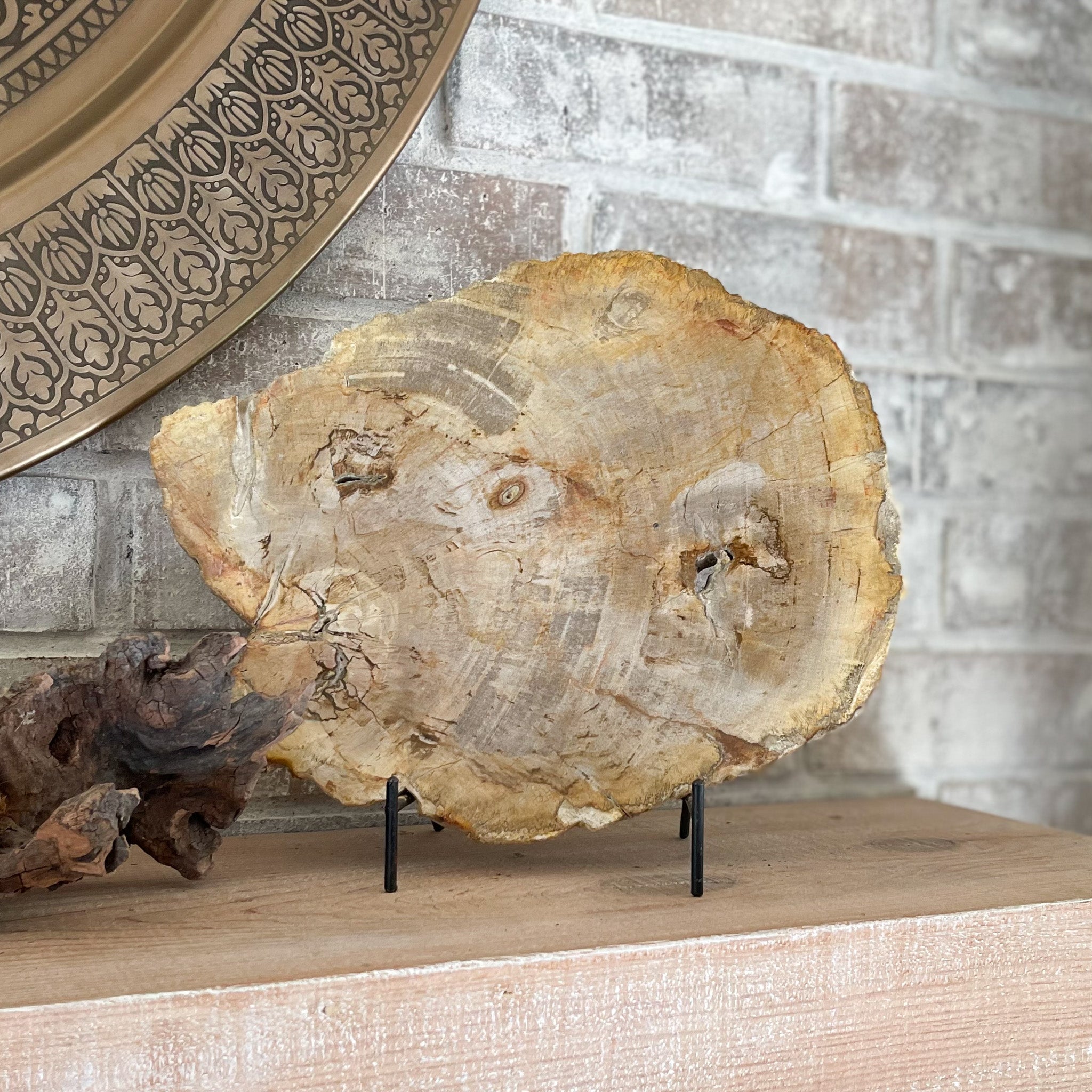 fossilized wood slab, natural home accents