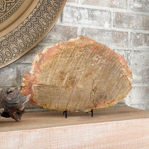 petrified wood decor, natural home accents