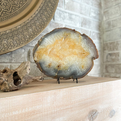 brazilian agate slice, agate home decor