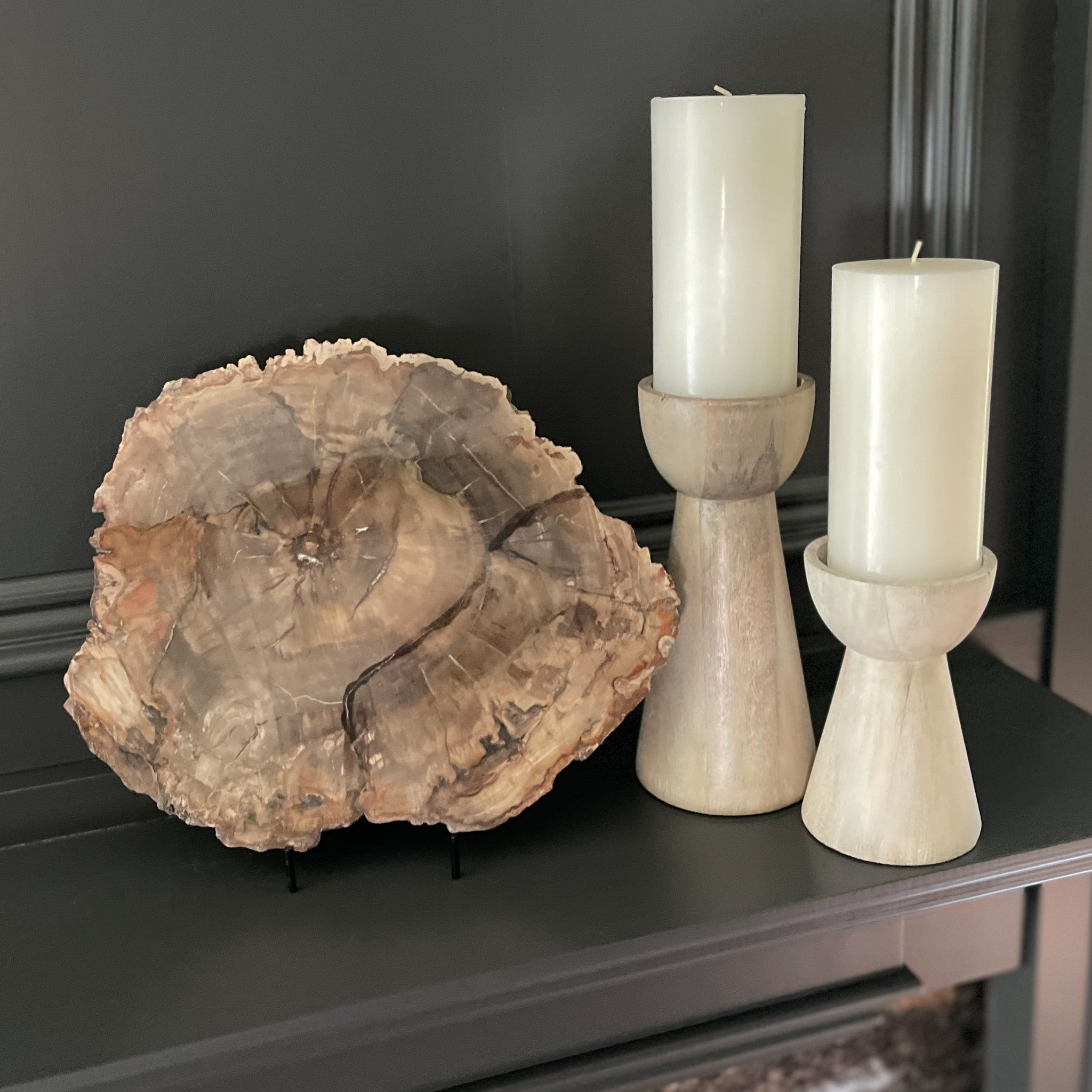Madagascar Petrified Wood Slice on Stand, Natural Home Accessories