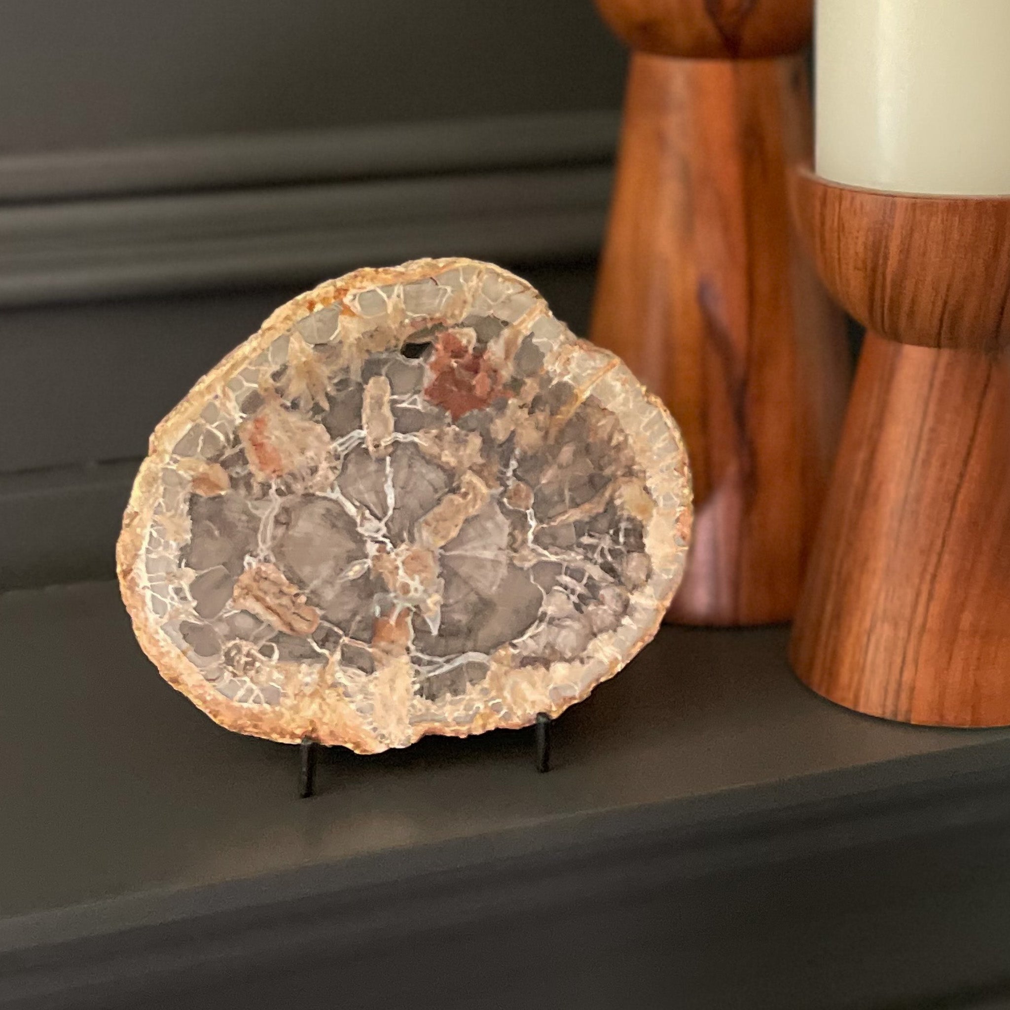 Madagascar Petrified Wood Slice, Natural Home Accessories