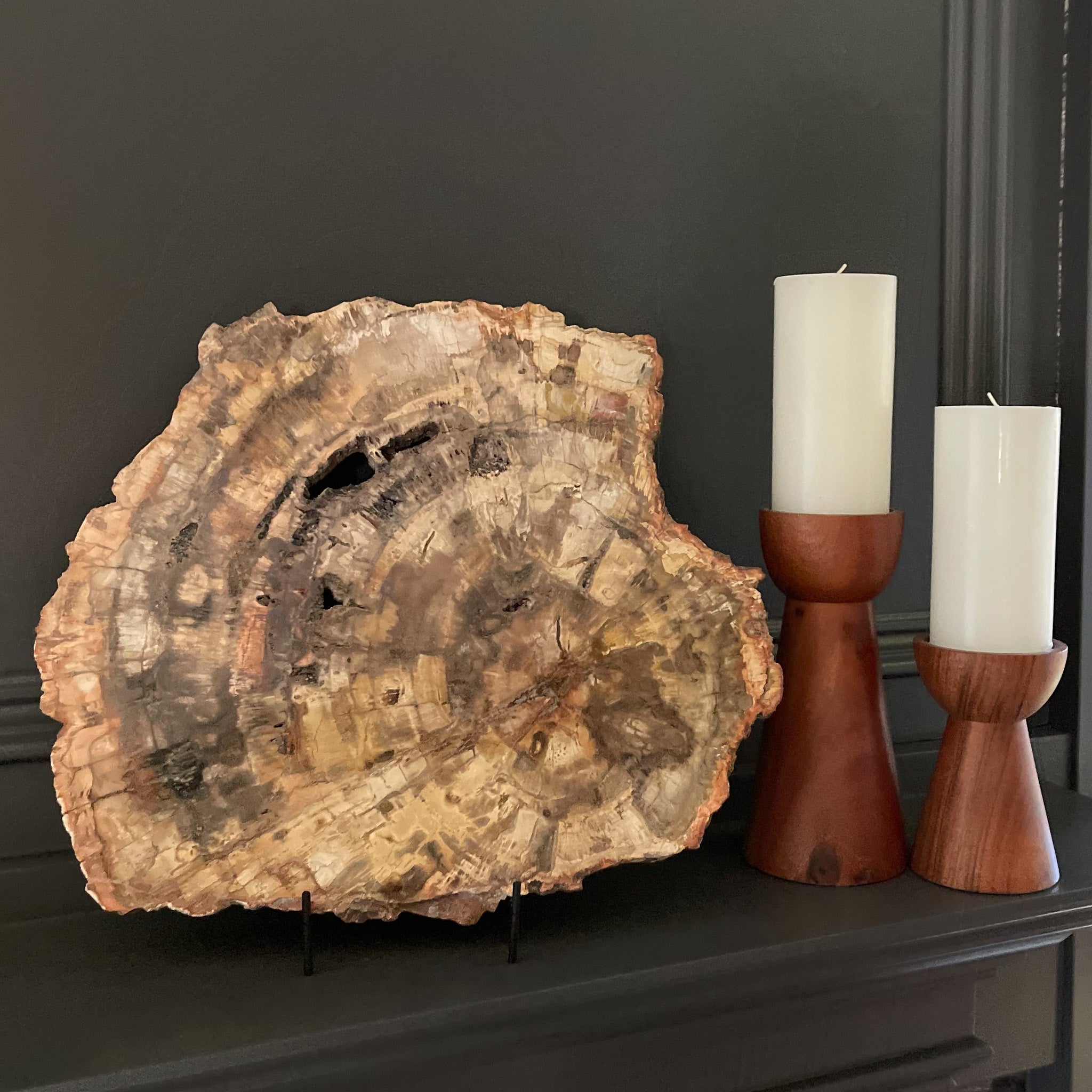 Large Madagascar Petrified Wood Slice. Natural Home Accents, Home Accents OKC