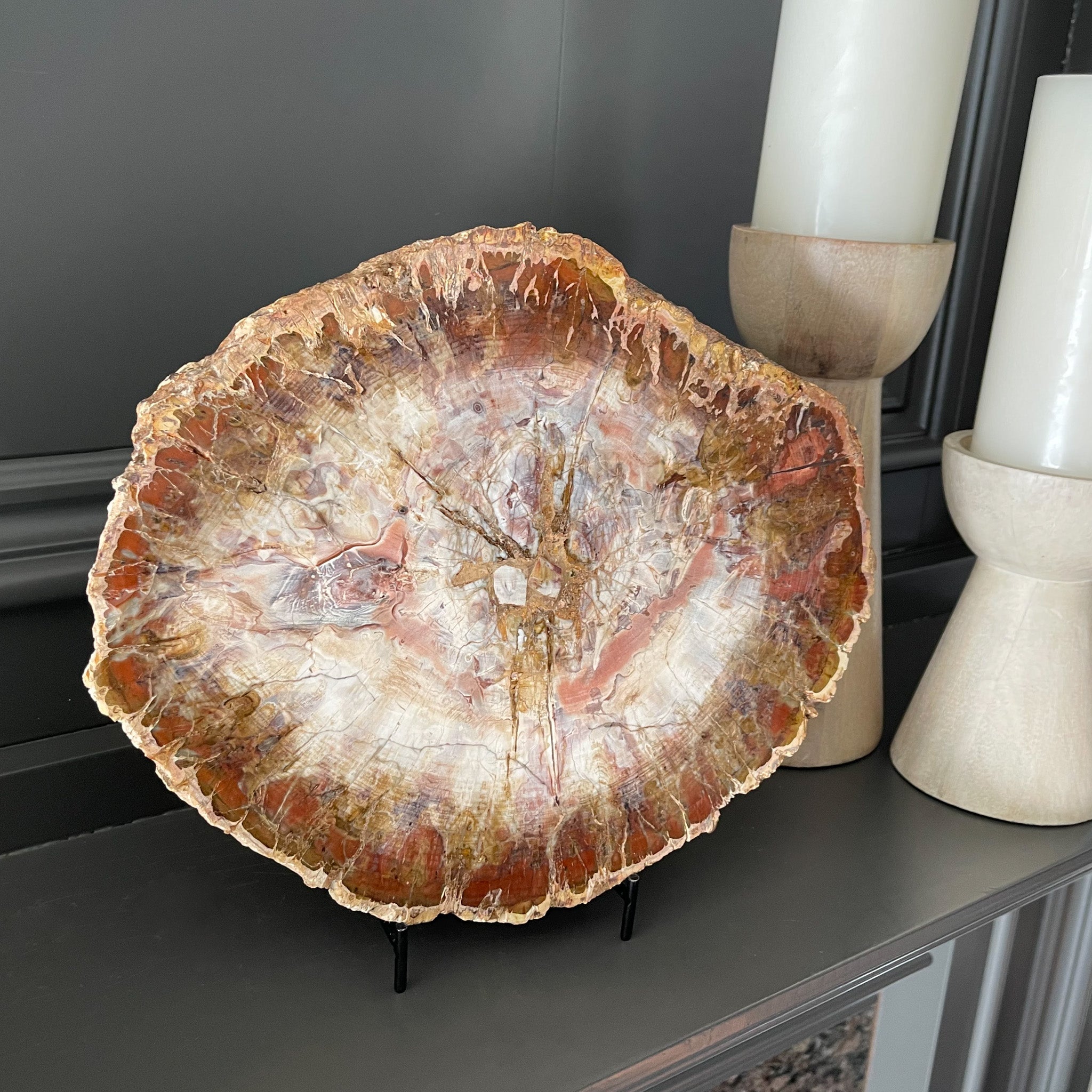 Madagascar Fossilized Wood Slice, Natural Home Accents