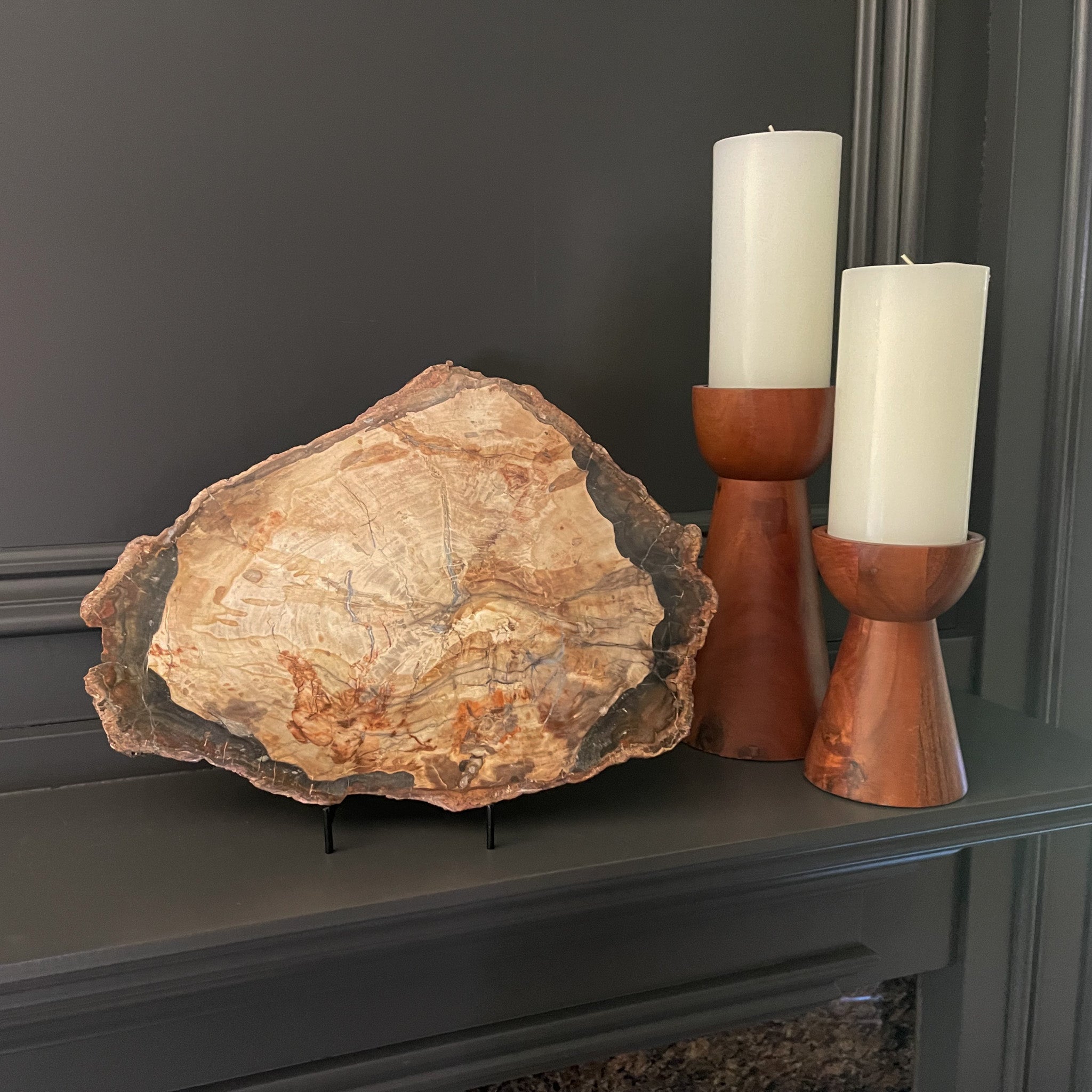 Fossilized Wood, Natural Home Accents