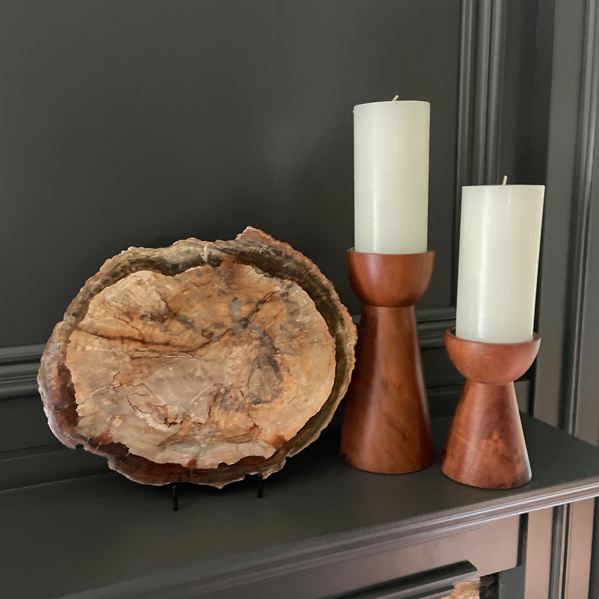 Petrified Wood Slize, Natural Home Accents