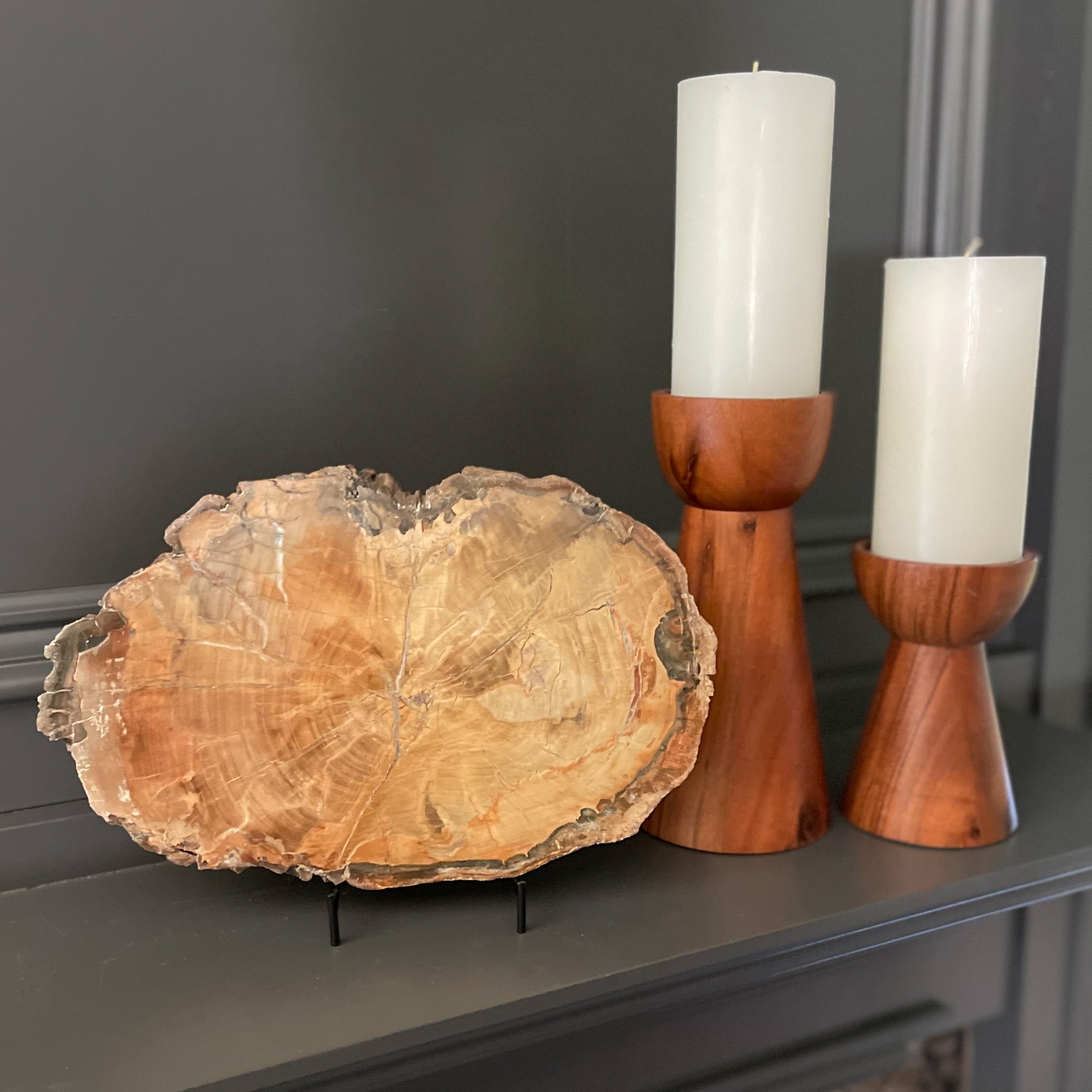 Fossilzed Wood, Petrified Wood Home Accents