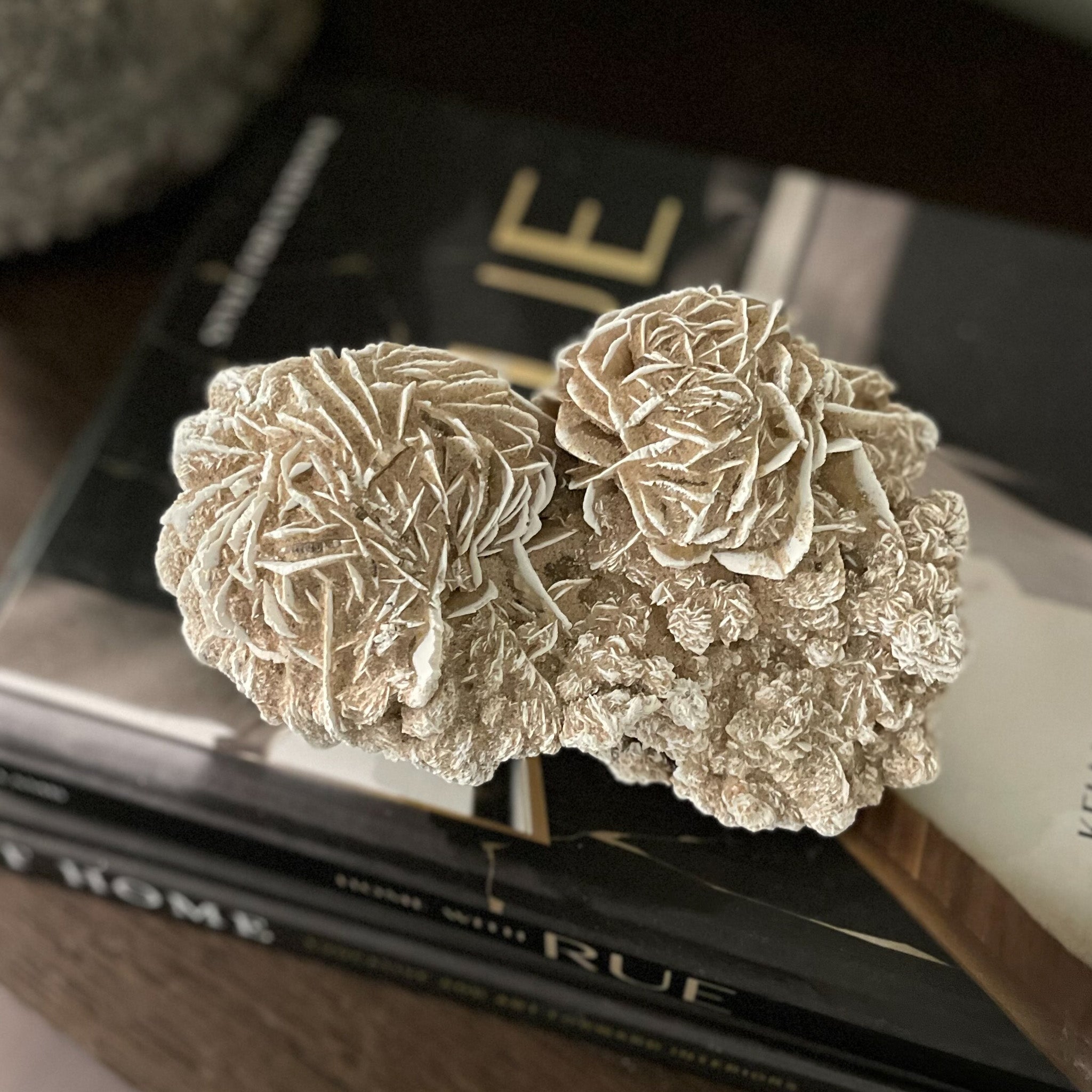 Mexican Desert Rose, Mexican Selenite, Natural Home Accents