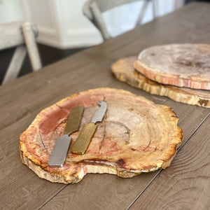 Natural Edge Petrified Wood Serving Board, Modern Rustic Home Decor, Oklahoma City Home Decor