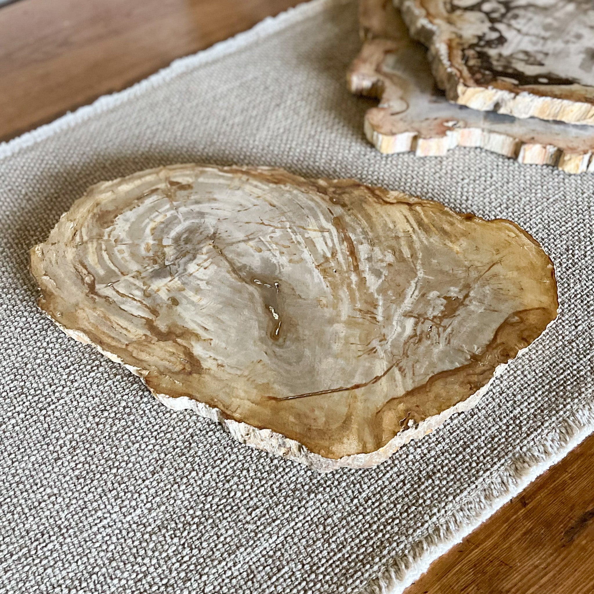 Petrified Wood Serving Tray, Fossilzed Wood, Natural Stone Serving Board