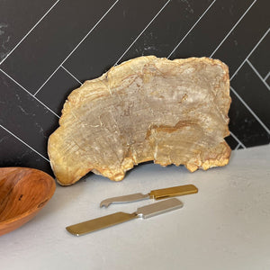 Natural Edge Petrified Wood Serving Board, Modern Rustic Home Decor, Oklahoma City Home Decor