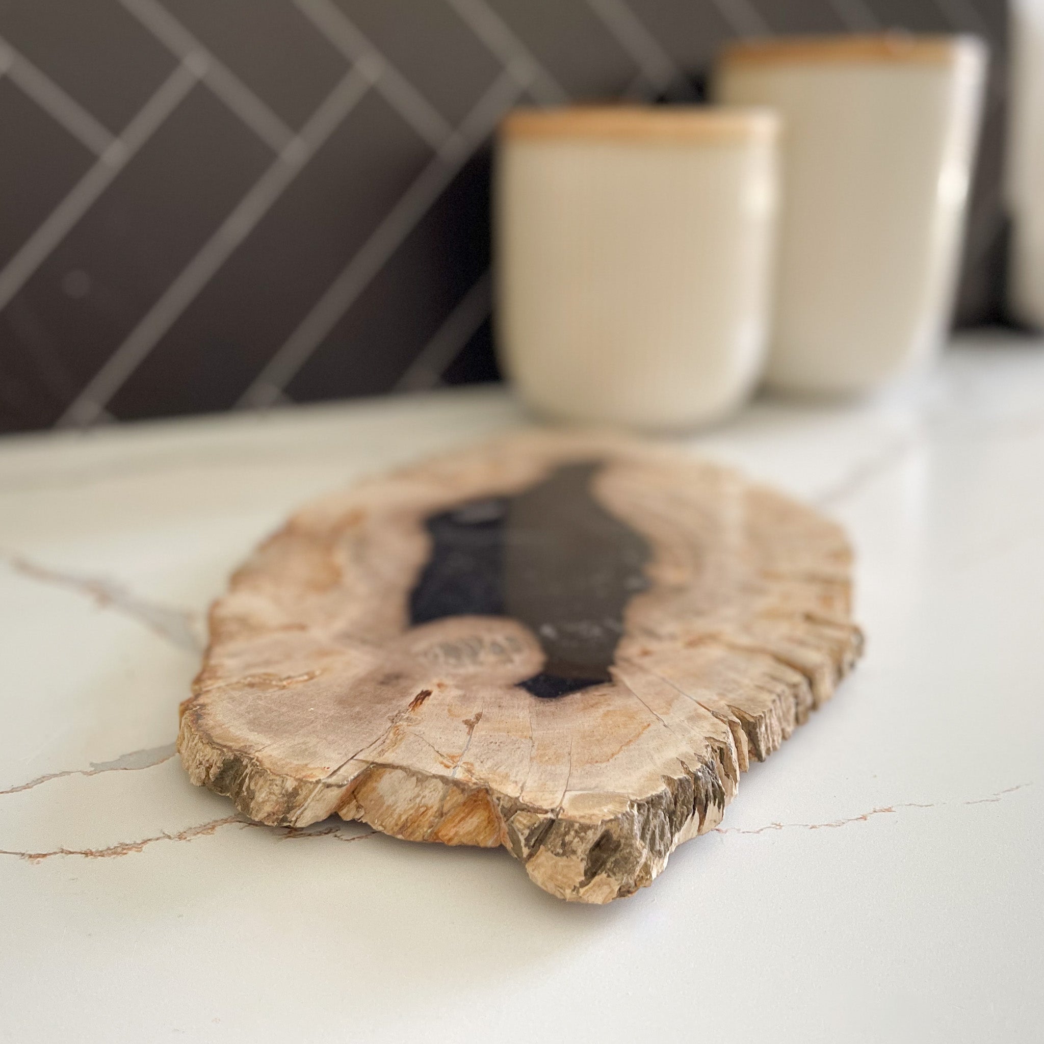 Natural Edge Petrified Wood Serving Platter
