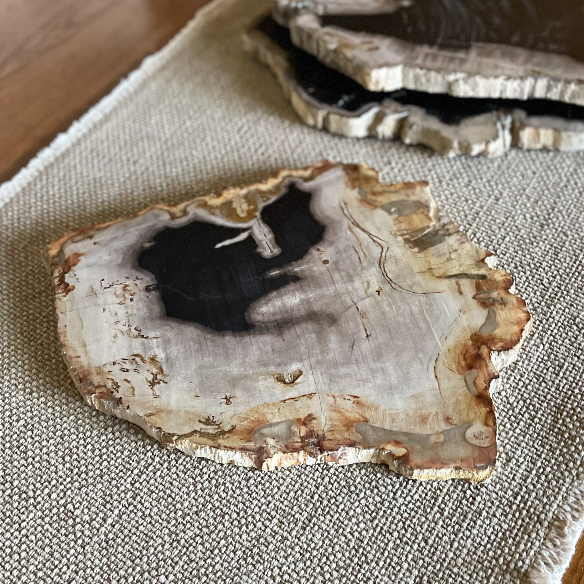 Petrified Wood Serving Platter