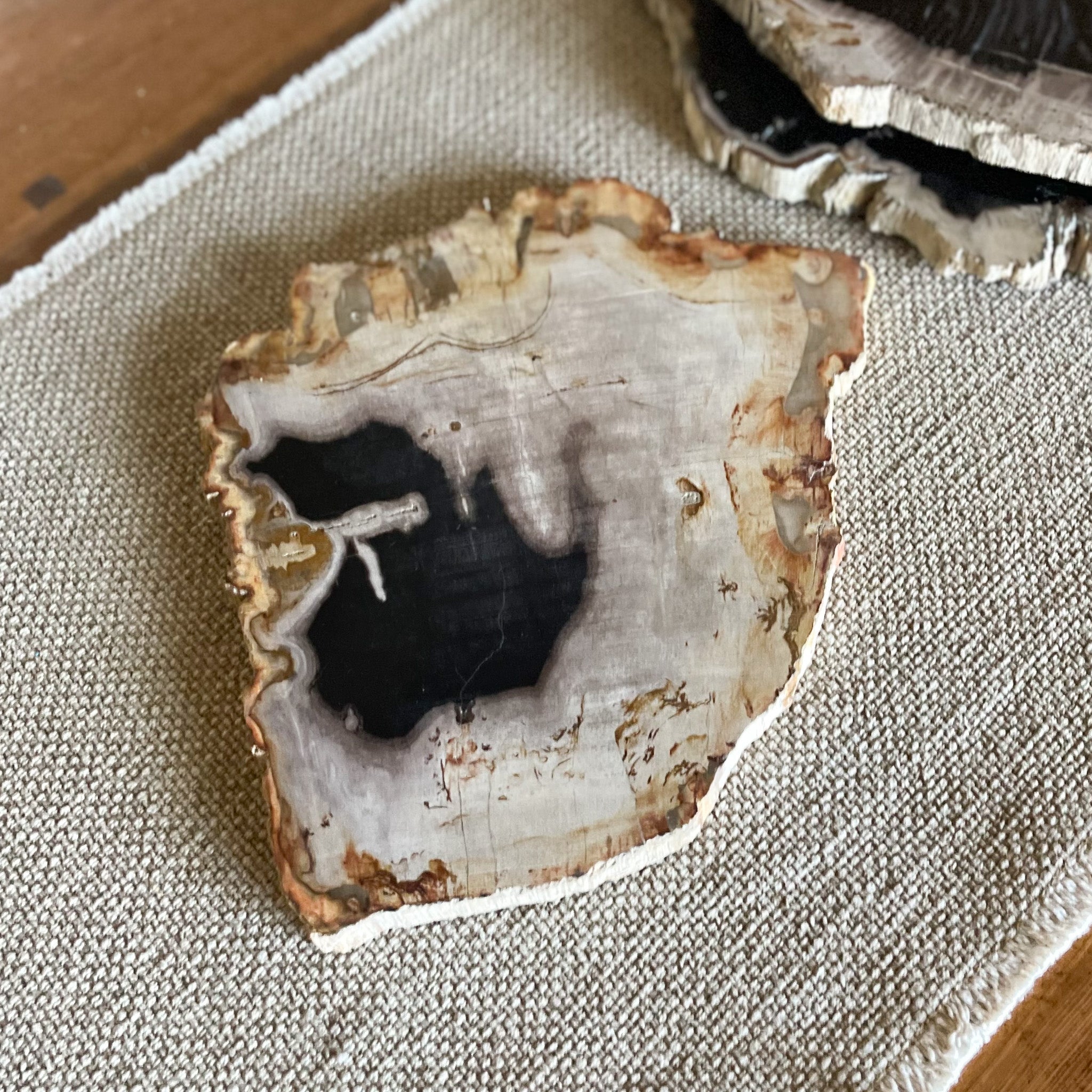 Petrified Wood Charcuterie Board, Modern Home Accents, Home Accents OKC