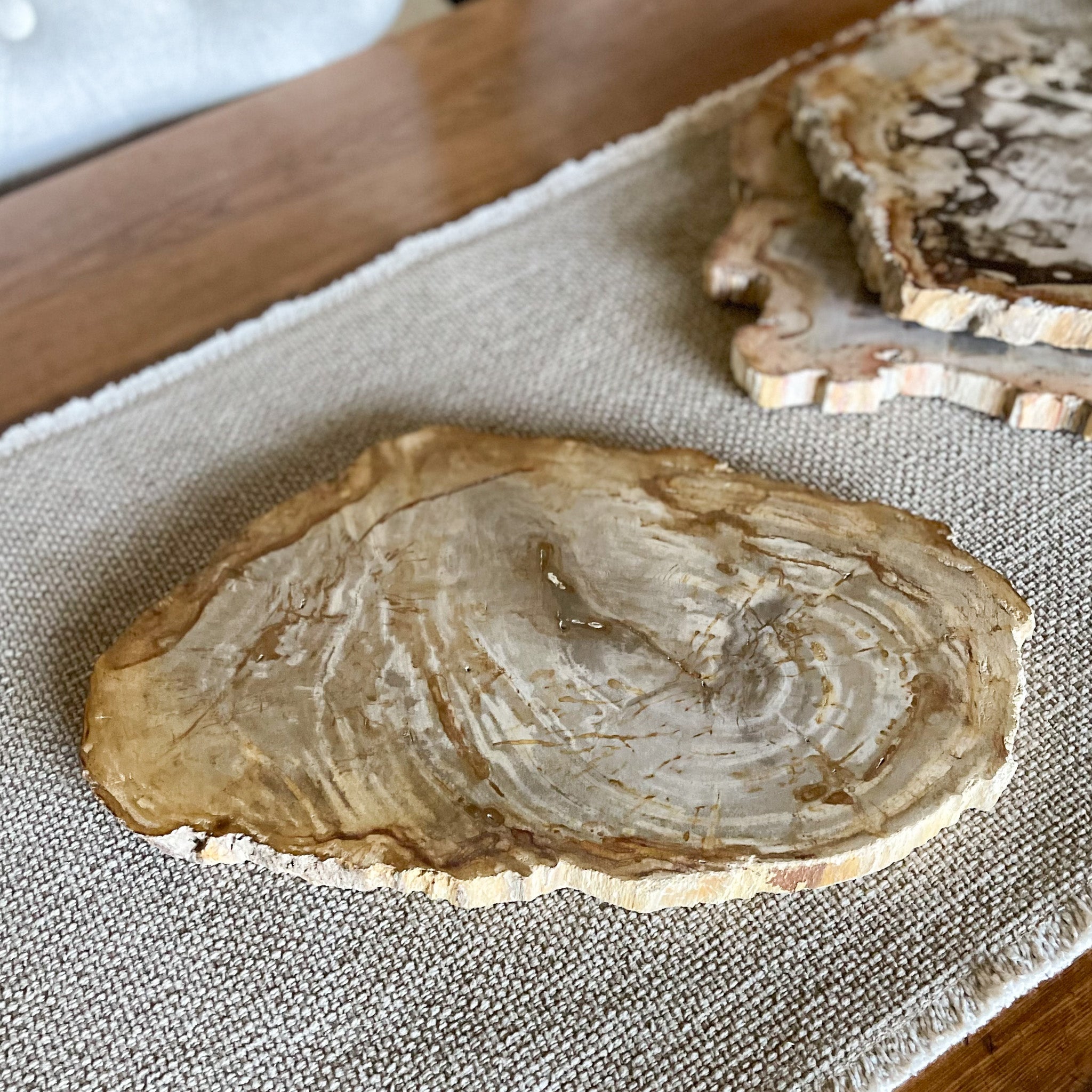 Petrified Wood Cheese Board, Rustic Home Accessories, Home Accessories OKC